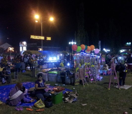 Alun-Alun Purbalingga, Taman Kota Sejuta Impian
