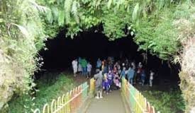 goa lawa purbalingga