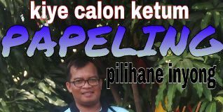 Ketua umum papeling