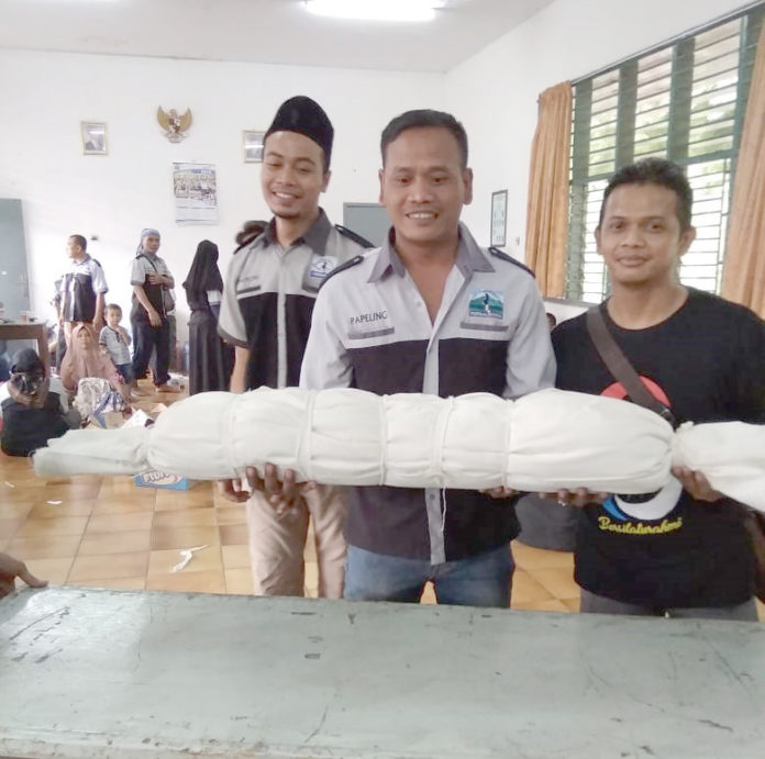 coblosan papeling