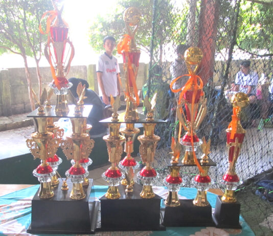 Juara Futsal Papeling Cup Dari Tahun Ke Tahun